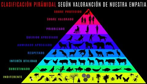 Life Valuation Pyramid Stock Illustration