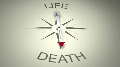 Life Versus Death Arrow 3D Animation Stock Footage 281170504