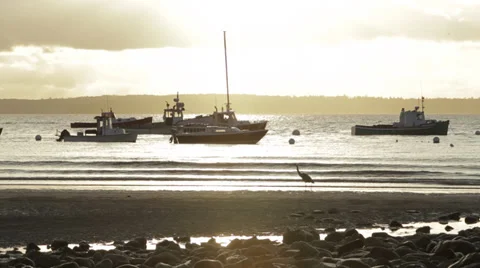 Life by the Water Stock-Footage 37207705