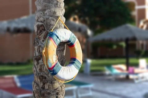 Lifebuoy hanging on a tree by the pool Stock Photos