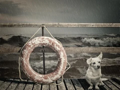 Lifebuoy Stock Photos