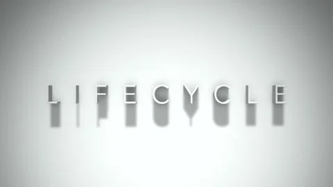 Lifecycle 3D title animation with shadows on a white background Stock Footage 296515539