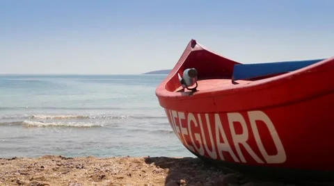 LIFEGUARD on the BEACH Stock Footage 8763292