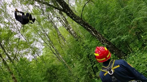 A lifeguard climbs a tree Stock Footage 158097024