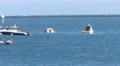 Lifeguard Dives To Assist Capsized Sailboat HD Footage