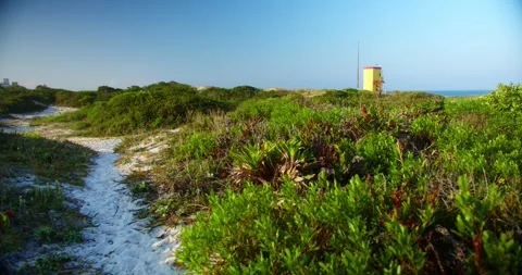 Lifeguard Hut on The Beach Stock Footage 247336684