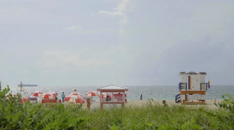 Lifeguard tower behind the bushes Stock Footage 65877016