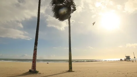 Lifeguard tower on desolate Venice Beach, California Stock-Footage 86387310