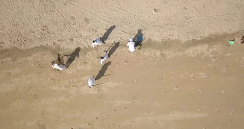 Lifeguards collecting garbage on beach Stock Footage 128454792