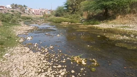 Lifeless and Empty Riverbed, a Victim of Water Scarcity Stock Footage 304058777
