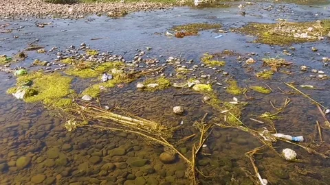 Lifeless and Empty Riverbed, a Victim of Water Scarcity Stock Footage 304058780