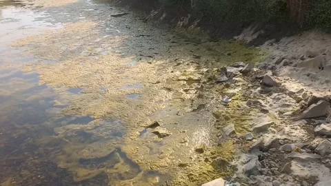 Lifeless and Empty Riverbed, a Victim of Water Scarcity Stock Footage 304058793