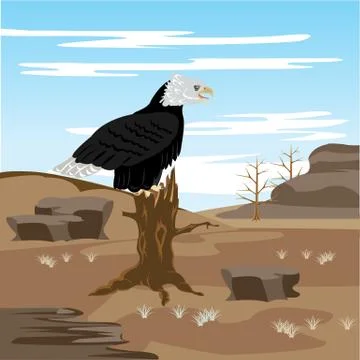 Lifeless desert and eagle on tree Stock Illustration