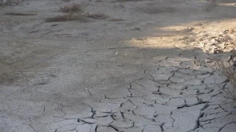 Lifeless dry earth Stock Footage 318452347