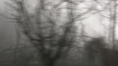 Lifeless forest in fog view through moving car side window background. Video stock 342795137