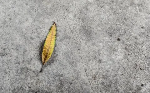 Lifeless Stock Photos