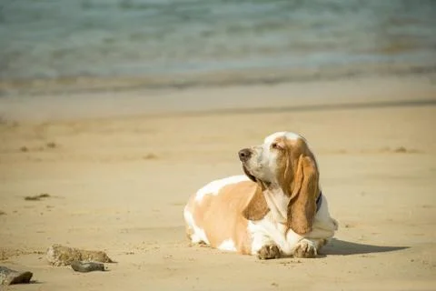 Lifes a beach Stock Photos