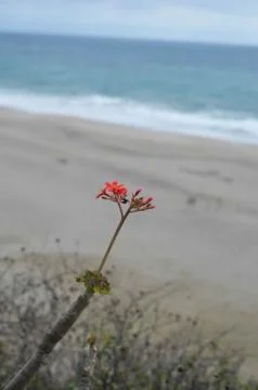 Life's Beginning Fotos de archivo