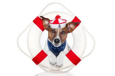 Lifesaver dog Stock Illustration
