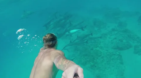 Lifestream man swims with dolphins at depth, slow motion Stock Footage 66537814