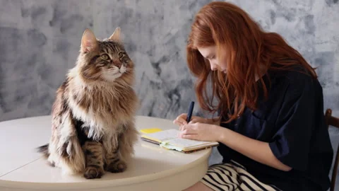 Lifestyle cat sitting while student writes in  notebook Stock Footage 340411271