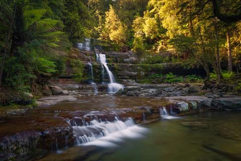The Liffey's Falls in Tasmania, Australia Stock Photos