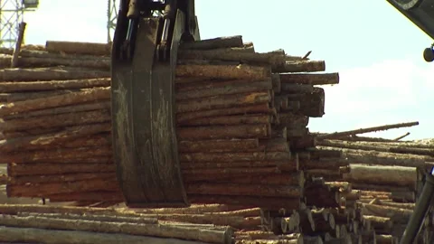 Lift captures and elevates the firewood, solid fuel for the boiler Stock Footage 105541288