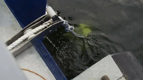 Lifting anchor - the ship weighed anchor Vidéo 73133032