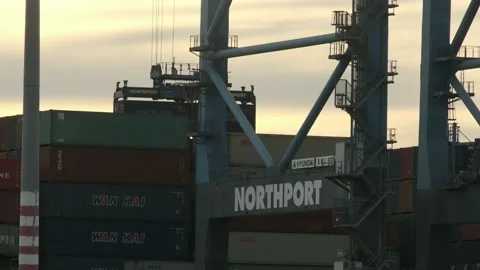 Lifting the container during sunset Stock Footage 135845970