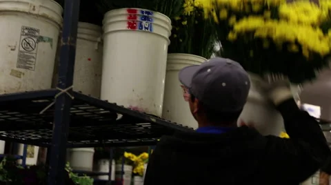 Lifting Flowers Up 動画素材 58732679