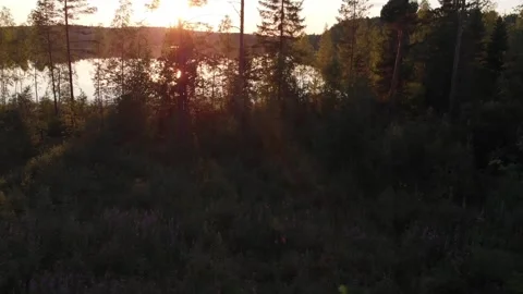 Lifting up on nice summer sunset. Stock Footage 134801625