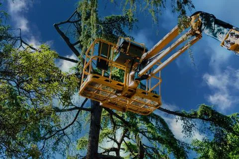 Lifting platform used to inspect trees Stock Photos