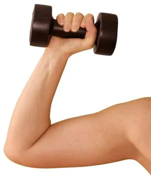 Lifting weight Stock Photos