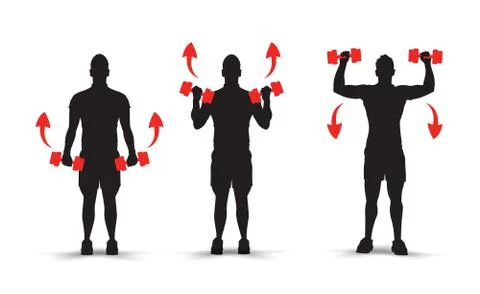 Lifting weights infographics Stock Illustration
