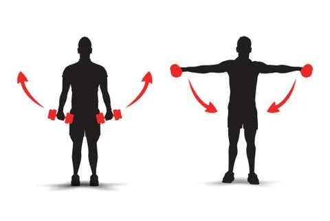 Lifting weights infographics Illustrazione stock