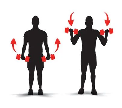 Lifting weights infographics Illustrazione stock