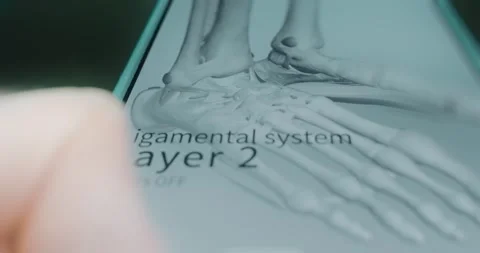 Ligamental system of human feet Video stock 313838803