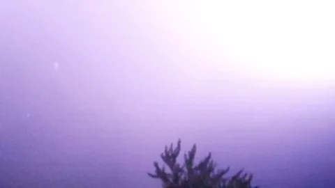 Lighning one Stock Footage 113409221