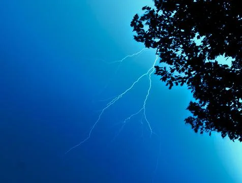 Lighning Tree Stock Photos