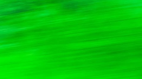 Light Abstract Green Background Website Pattern Element Design Stock Photos