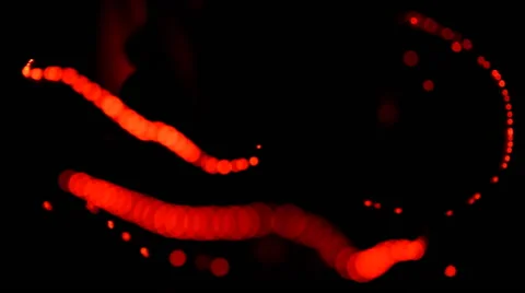 Light abstract, magical glow, motion Stock Footage 61311998