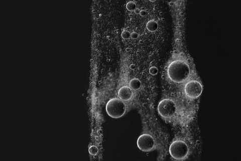 Light air bubbles Stock Photos