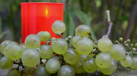 Light and grape Stock Footage 10991359