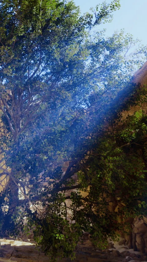 Light and shade contrast in a historical site with trees and stone walls Stock Footage 331760036