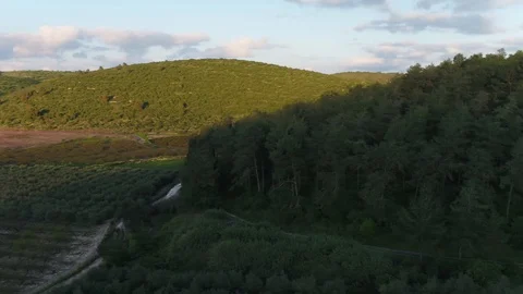 Light and Shade, hills forest Stock Footage 126944586