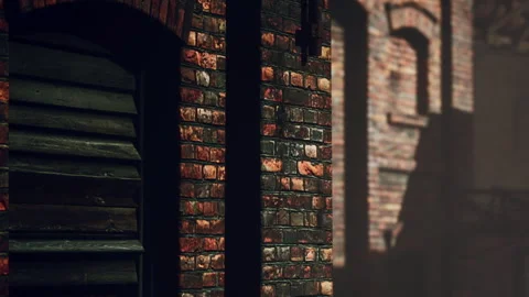 Light and shadow cast on a brick wall in an urban setting in afternoon Stock Footage 339503441