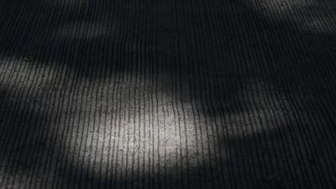Light and shadow on a cemented road. Shadow of tree branches and leaves. Stock Footage 340173299