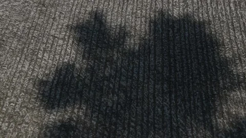 Light and shadow on a cemented road. Shadow of tree branches and leaves Stock Footage 340410942