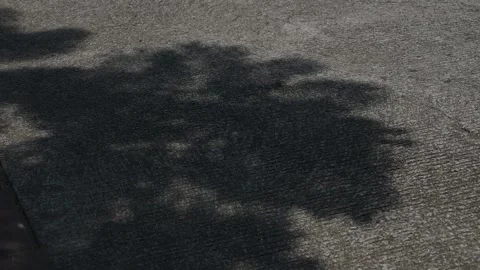 Light and shadow on a cemented road. Shadow of tree branches and leaves Stock Footage 340410964
