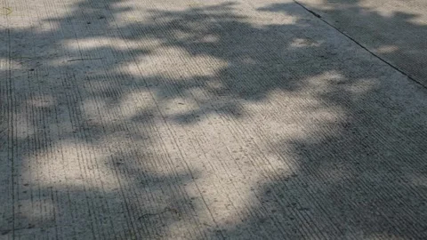Light and shadow on a cemented road. Shadow of tree branches and leaves Stock Footage 340410967